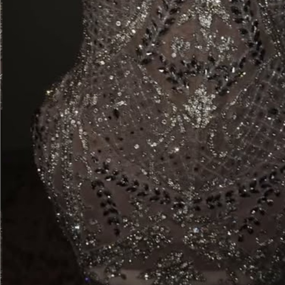 Elegant Silver Embellished Gown - Picture 3 of 3
